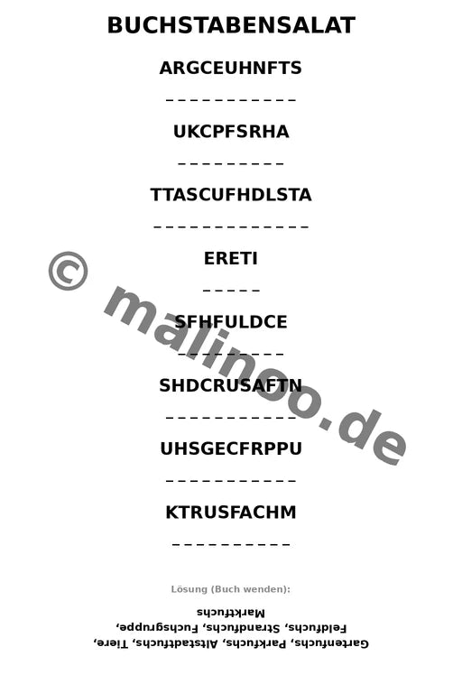 Füchse – Bild 9