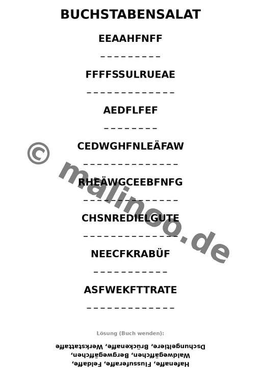 Esel – Bild 9