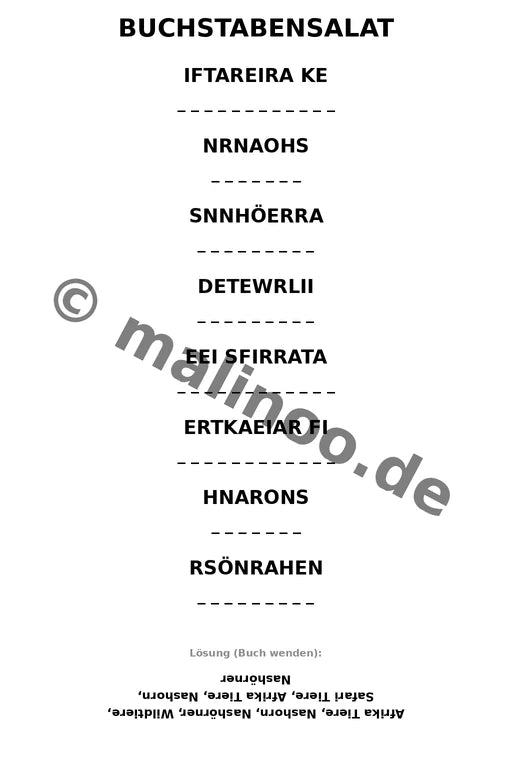 Nashörner – Bild 9