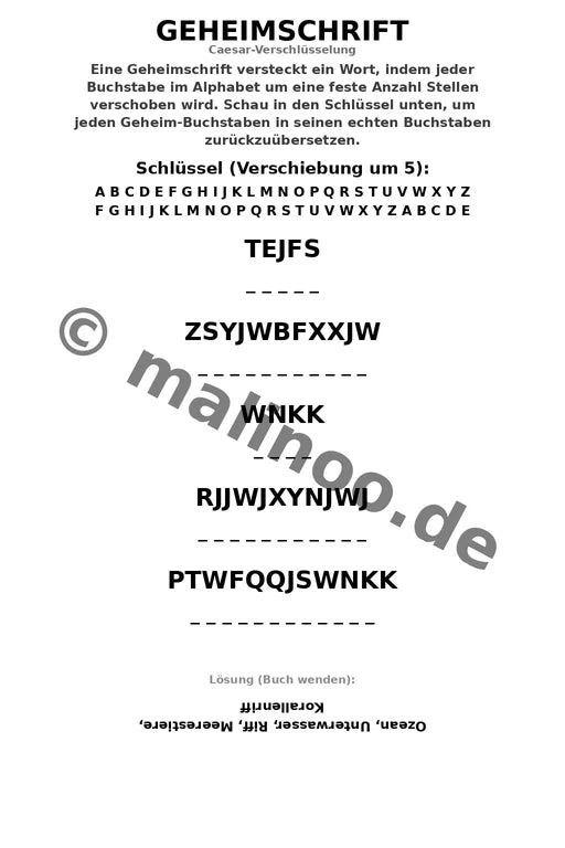Korallenriffe – Bild 9