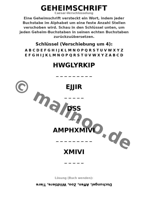 Affen – Bild 9