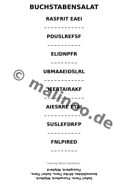 Flusspferde – Bild 9