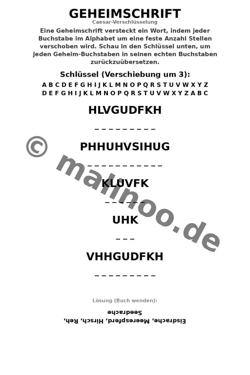 Magische Tiere – Bild 9