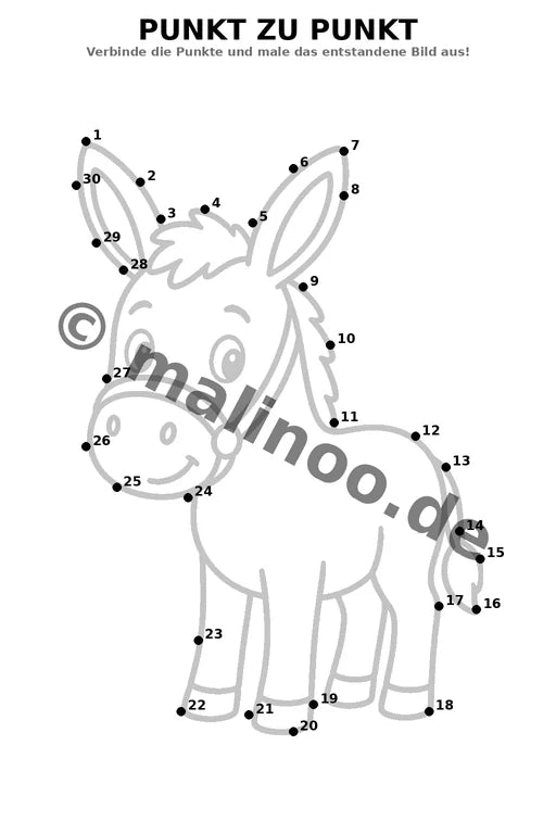 Esel – Bild 9
