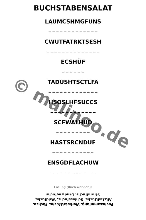 Füchse – Bild 9