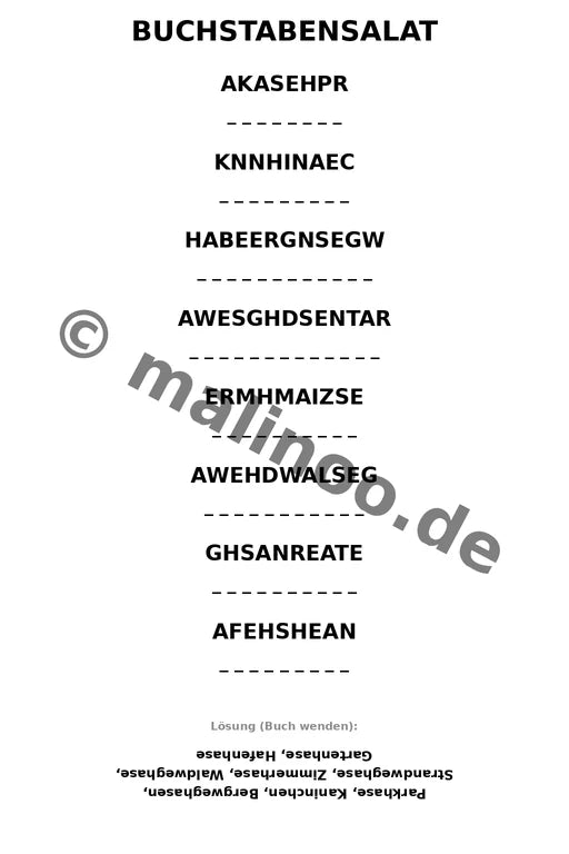Hasen – Bild 9