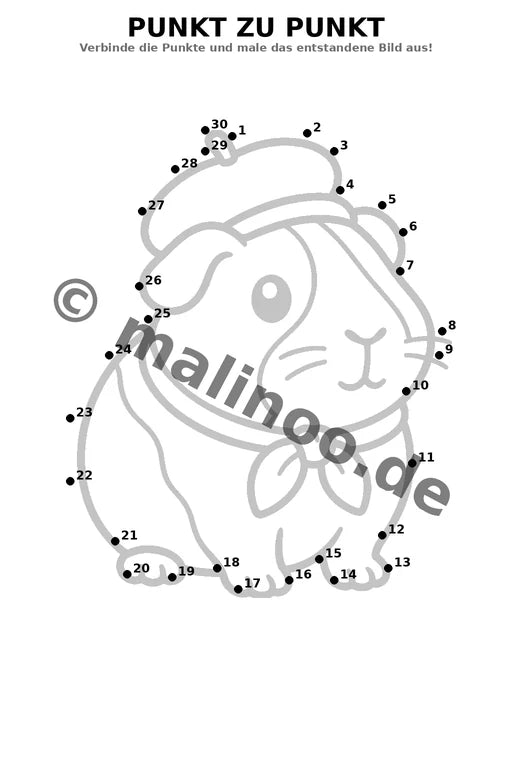 Meerschweinchen – Bild 9