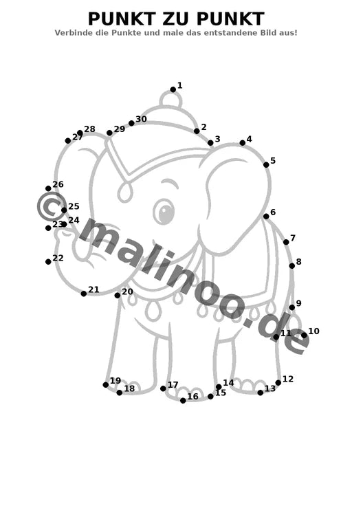 Elefanten – Bild 9
