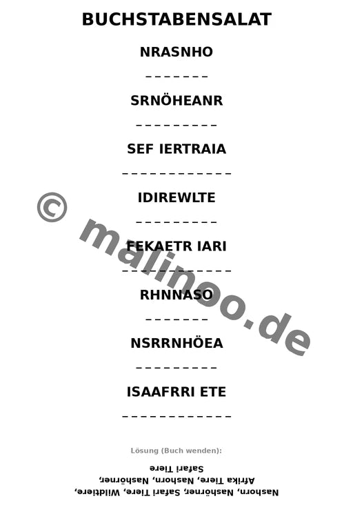 Nashörner – Bild 9