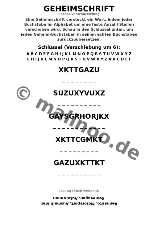 Rennwagen – Bild 9