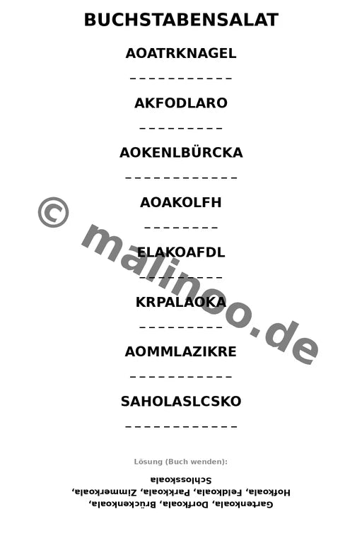 Koala's – Bild 9
