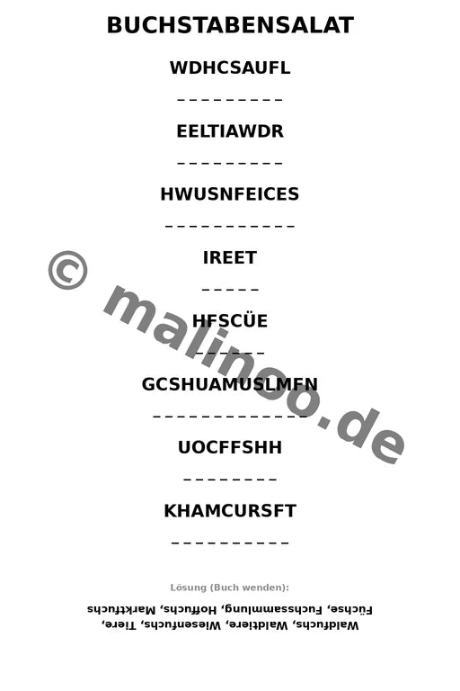 Füchse – Bild 9