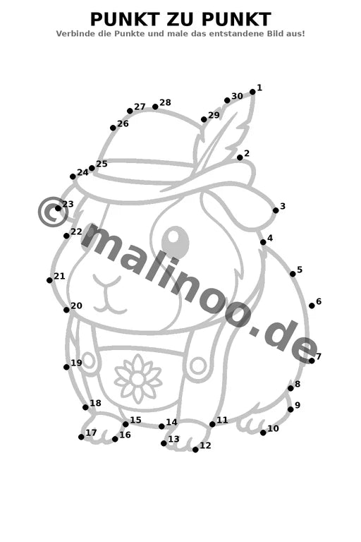 Meerschweinchen – Bild 9