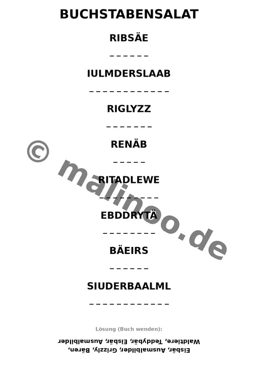 Bären – Bild 9