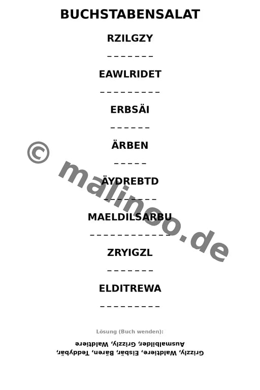 Bären – Bild 9