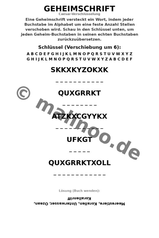 Korallenriffe – Bild 9