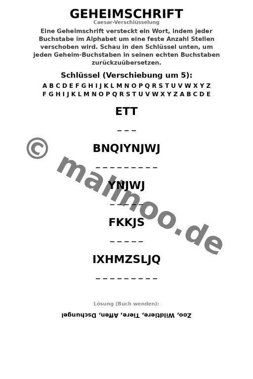 Affen – Bild 9