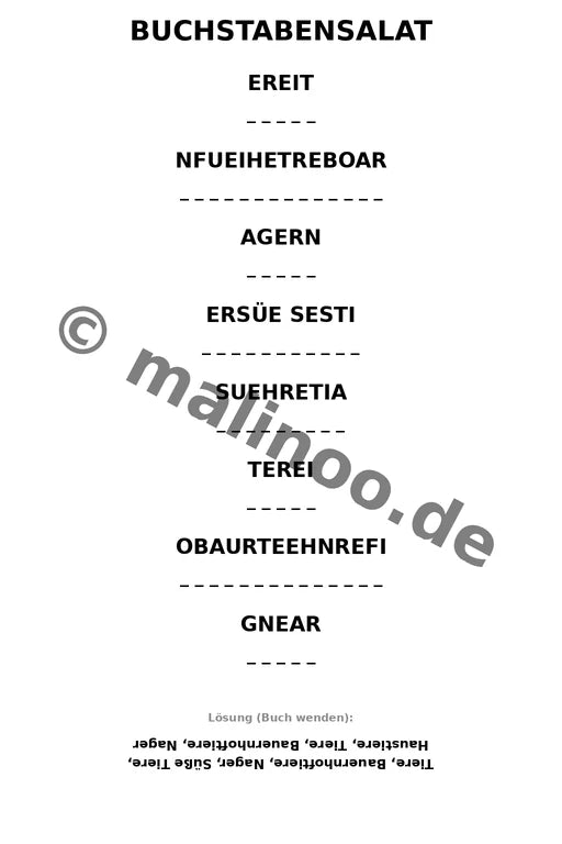 Meerschweinchen – Bild 9