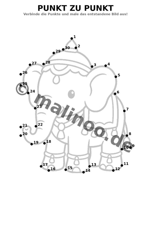Elefanten – Bild 9