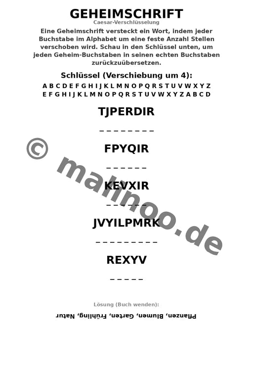 Blumen – Bild 9
