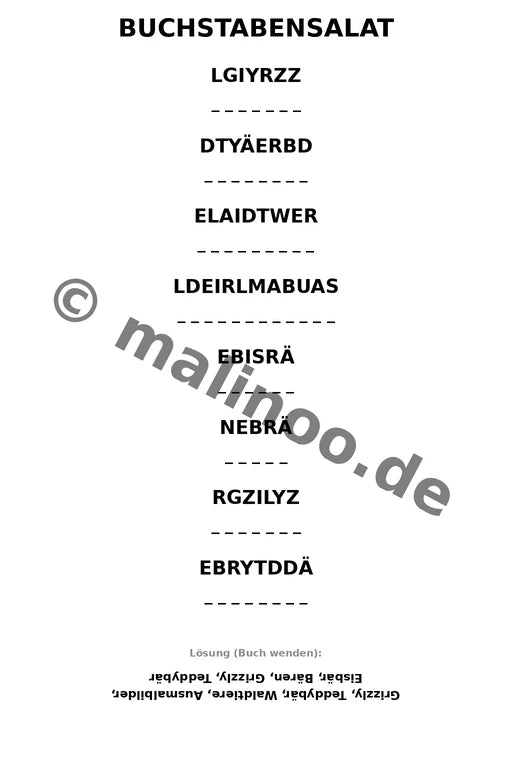 Bären – Bild 9