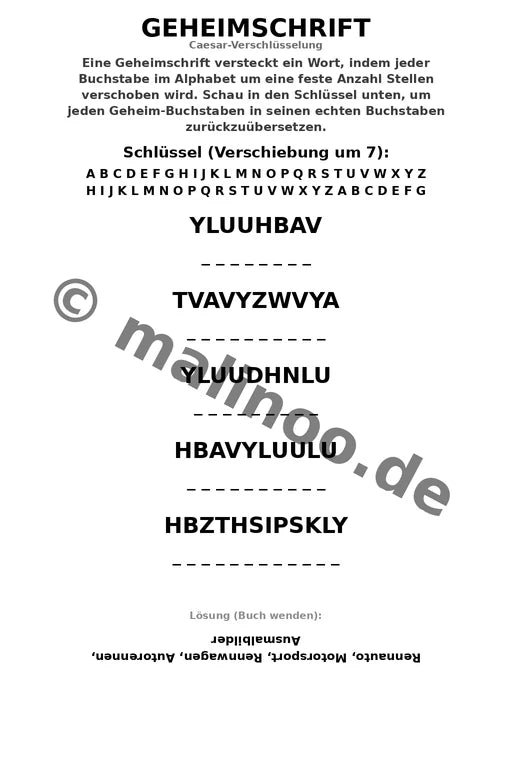 Rennwagen – Bild 9