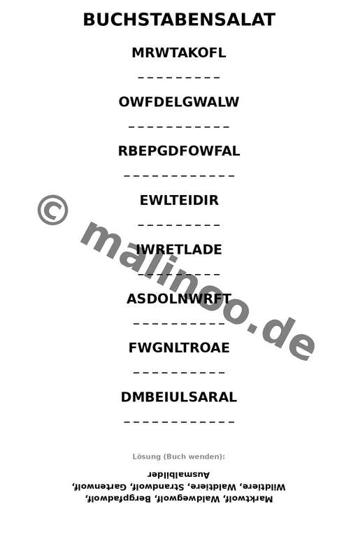 Wölfe – Bild 9