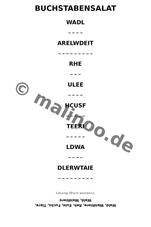 Waldtiere – Bild 9