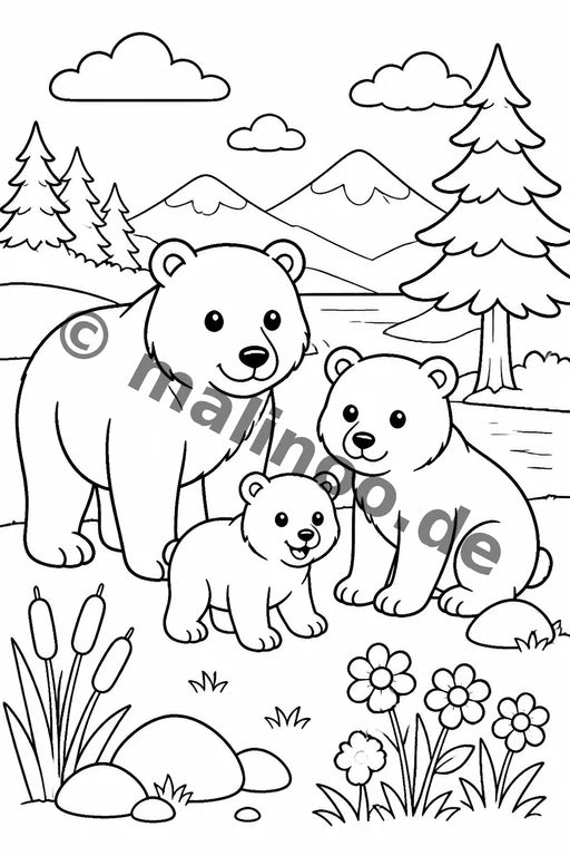 Bären – Bild 9