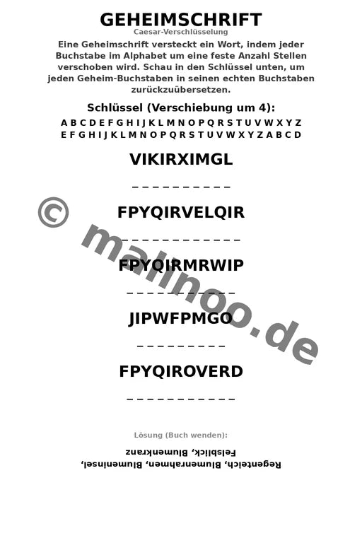 Flamingos – Bild 9