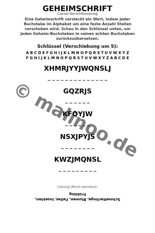 Schmetterlinge – Bild 9