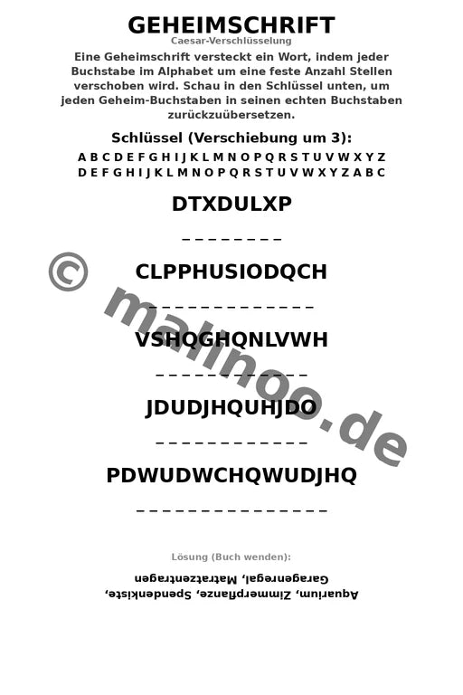 Wir ziehen um – Bild 9