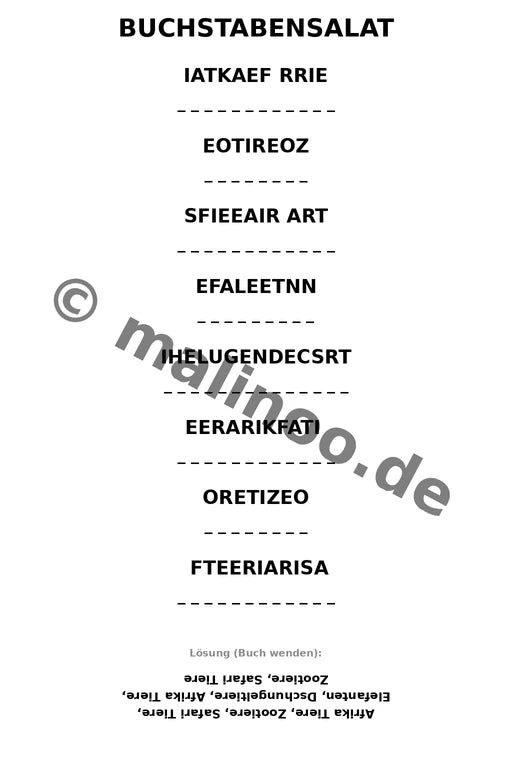 Elefanten – Bild 10