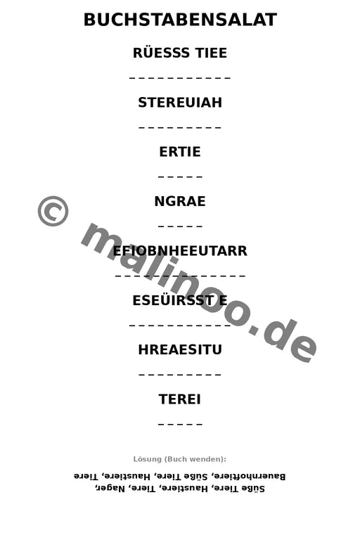 Meerschweinchen – Bild 10