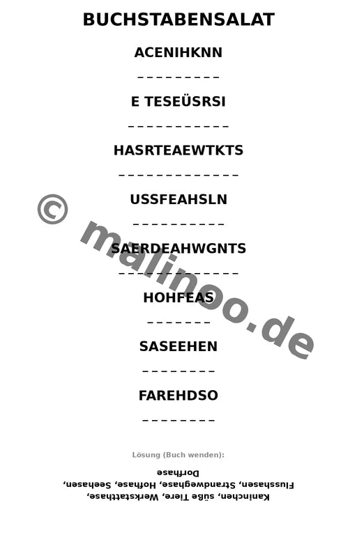 Hasen – Bild 10