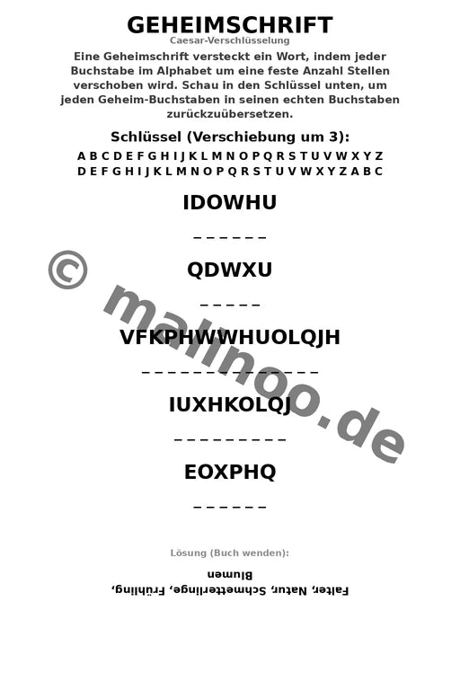 Schmetterlinge – Bild 10