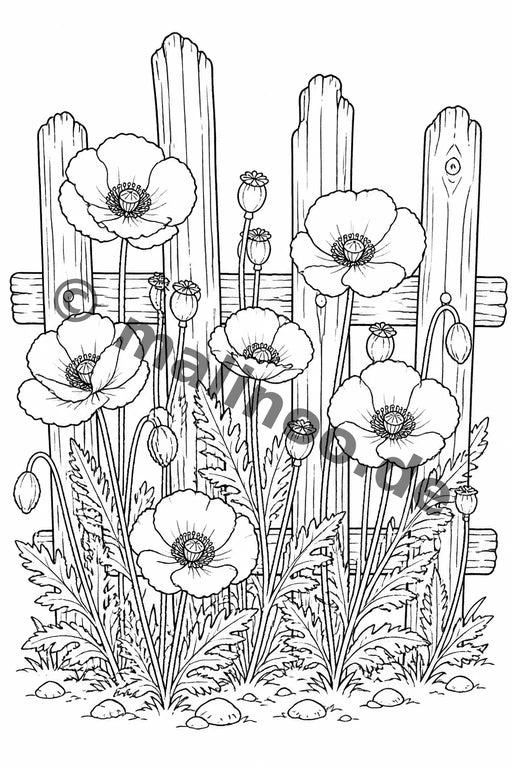 Blumen – Bild 10