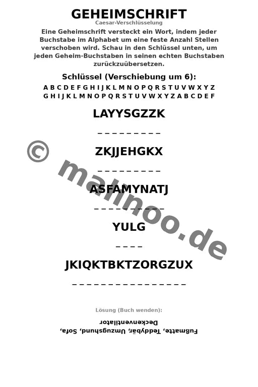 Wir ziehen um – Bild 10