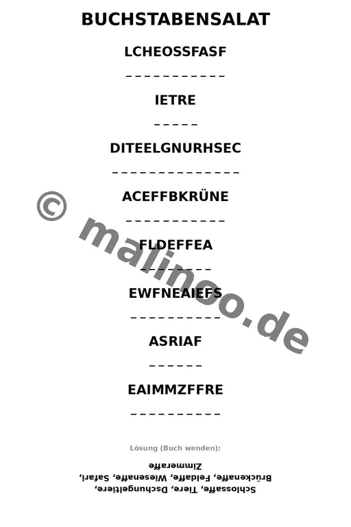 Esel – Bild 10