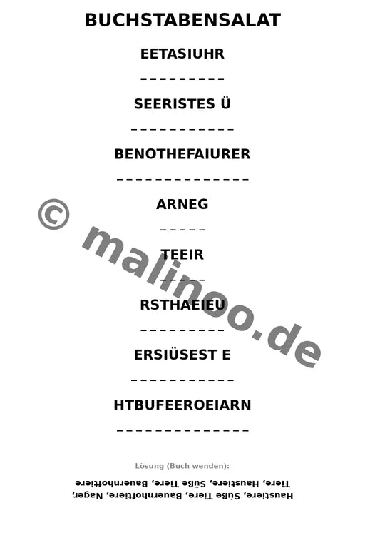 Meerschweinchen – Bild 10