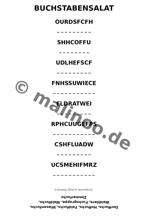 Füchse – Bild 10