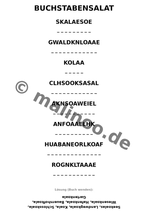 Koala's – Bild 10