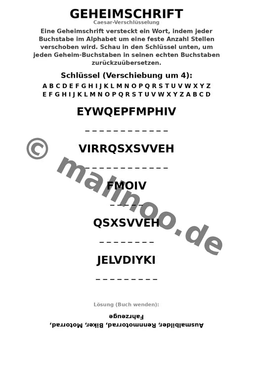 Motorräder – Bild 10