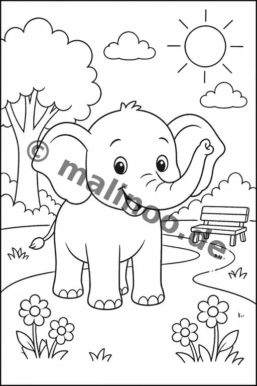 Elefanten – Bild 10