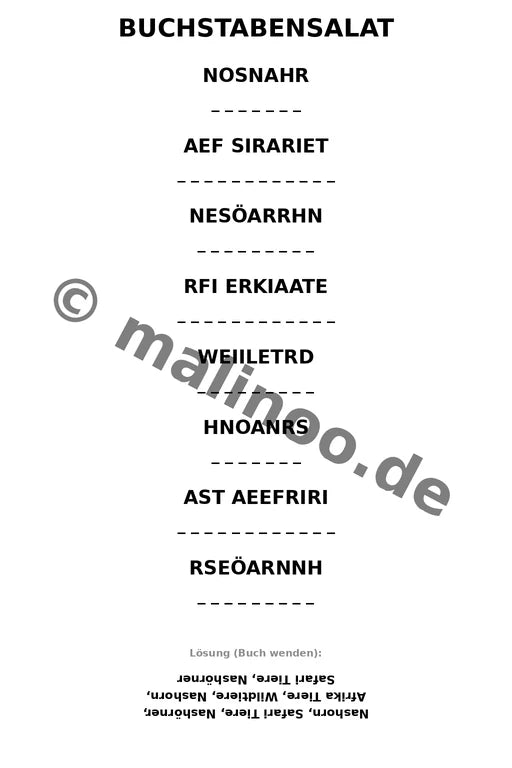 Nashörner – Bild 10