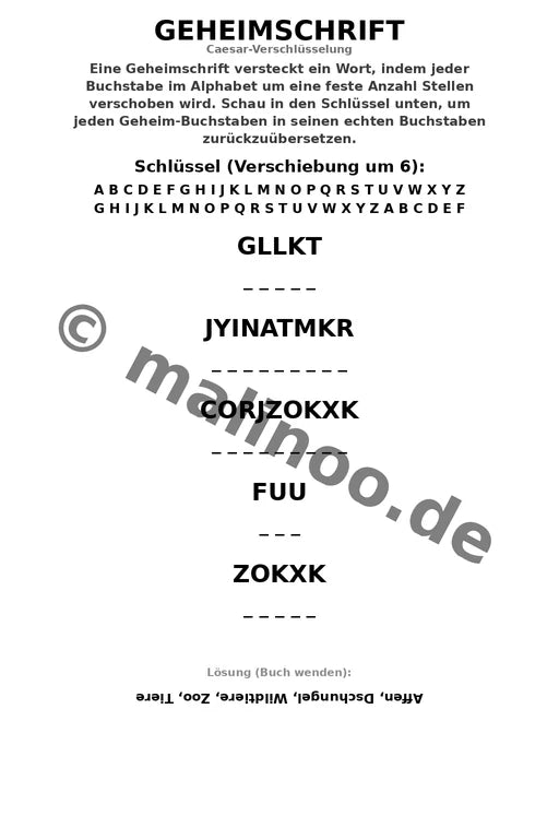 Affen – Bild 10