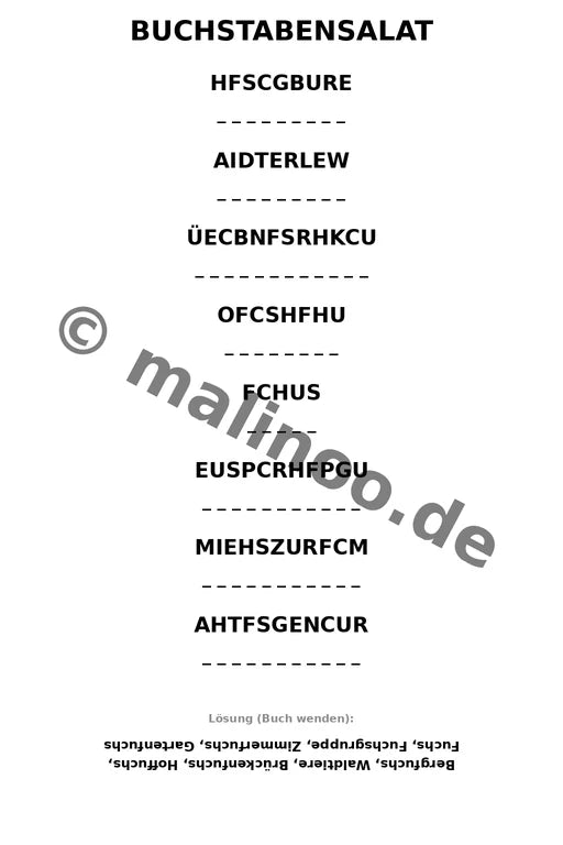 Füchse – Bild 10