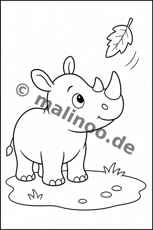 Nashörner – Bild 10