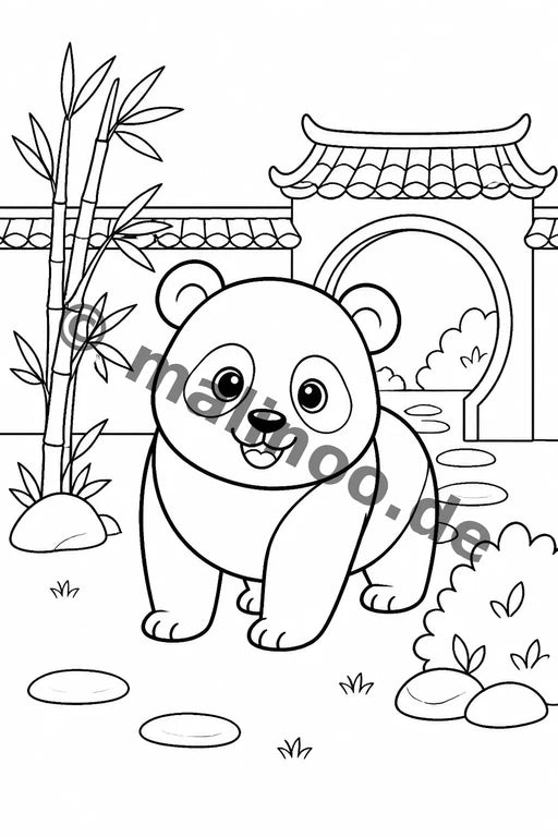 Panda's – Bild 10