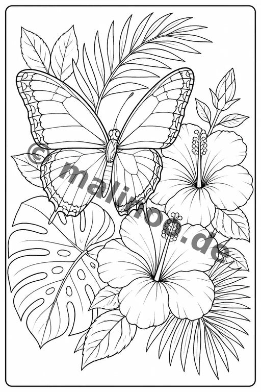 Schmetterlinge – Bild 10